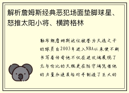 解析詹姆斯经典恶犯场面垫脚球星、怒推太阳小将、横跨格林