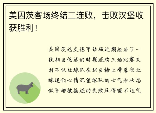 美因茨客场终结三连败，击败汉堡收获胜利！