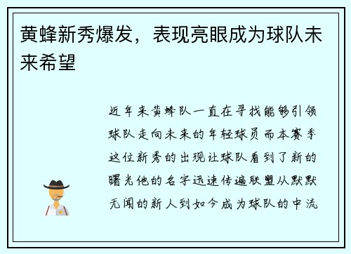 黄蜂新秀爆发，表现亮眼成为球队未来希望