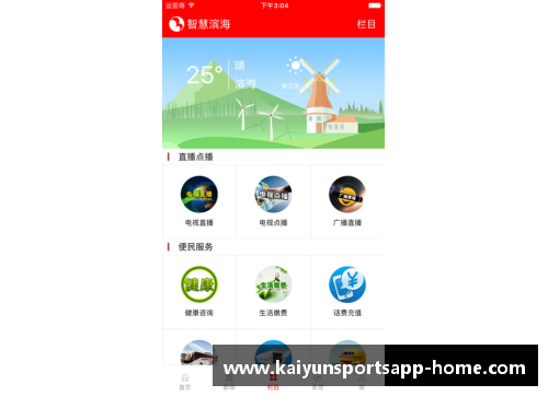 开云体育app官方网站球员实力榜：探索体育巨星的技术、智慧与精神
