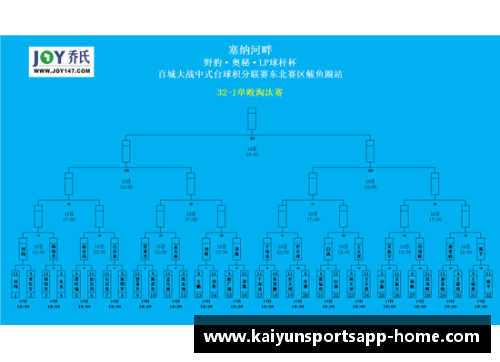 开云体育app官方网站雄鹿逆转热火，晋级半决赛：一场激情四溢的篮球盛宴 - 副本